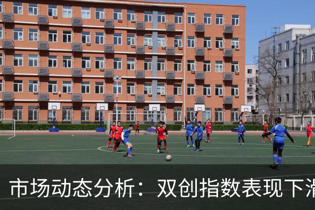 市场动态分析：双创指数表现下滑超4%